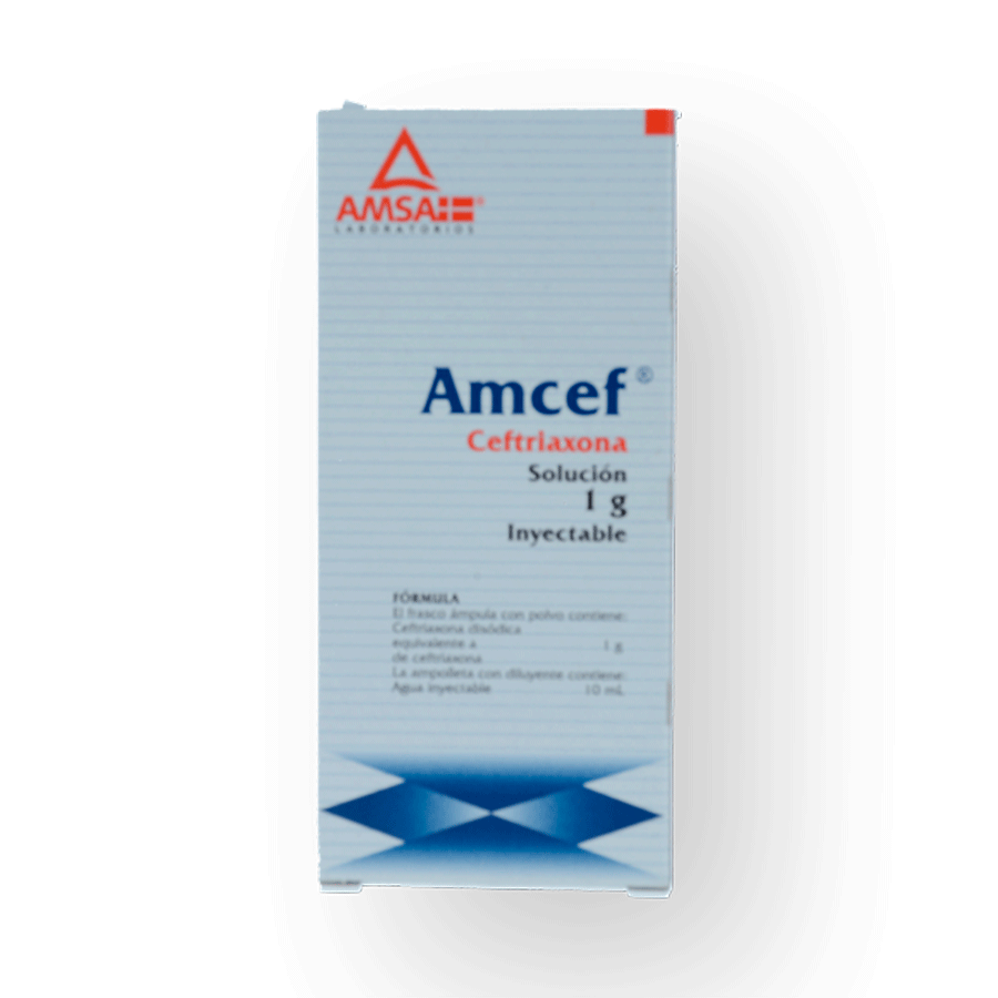 AMCEF 1AMP SOL