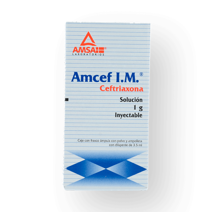 AMCEF IM (1G)1AMP SOL