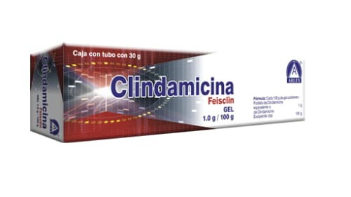 CLINDAMICINA 1G/100G (FEISCLIN) 30G GEL