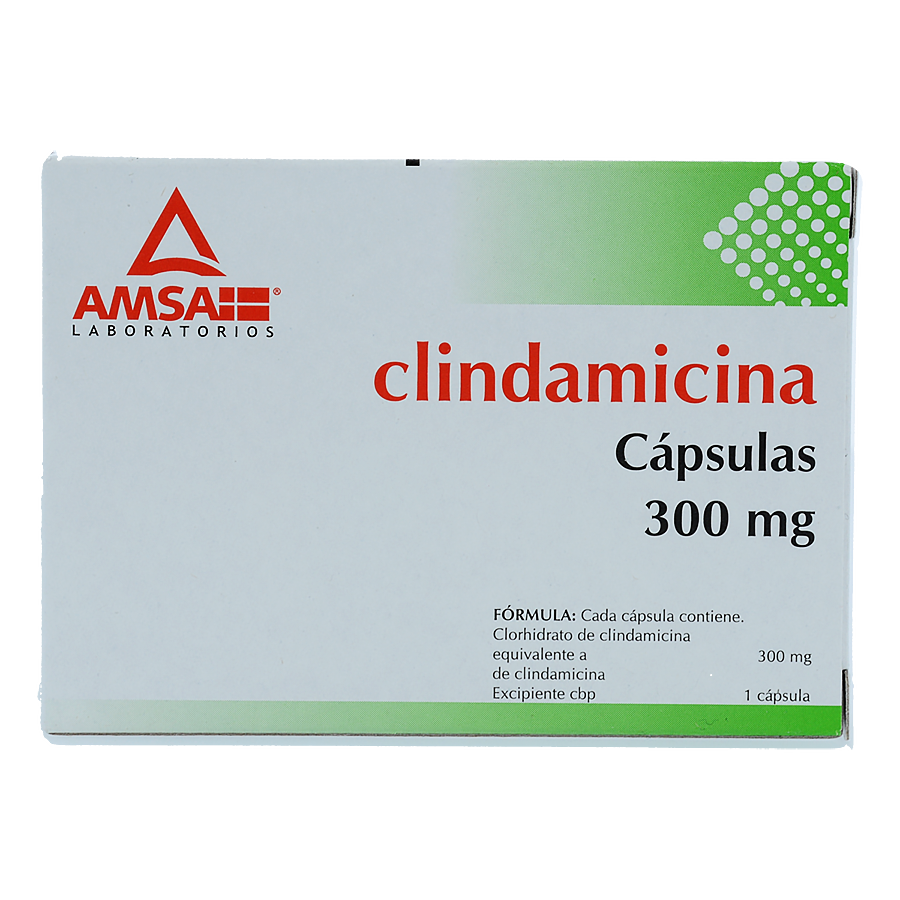 CLINDAMICINA 300MG 16CAPS