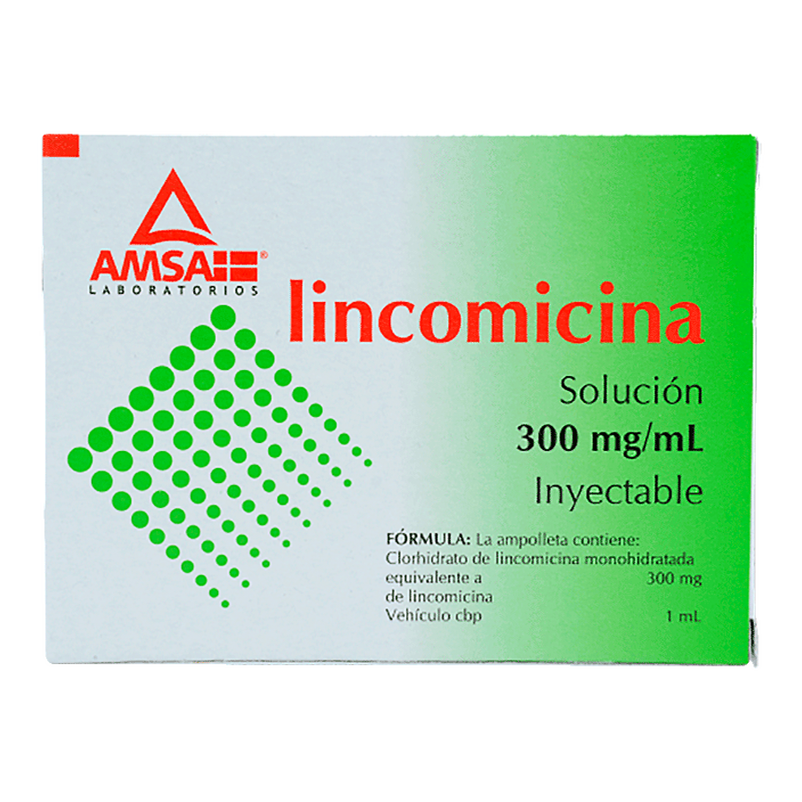 LINCOMICINA 300MG/ML 6AMP SOL